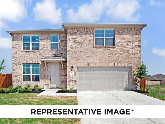 Teak with Elevation G