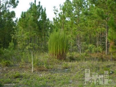 4020 Red Oak Road, Leland, NC, 28451