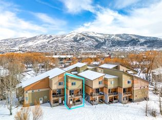 833 Weiss Cir, Steamboat Springs, CO 80487