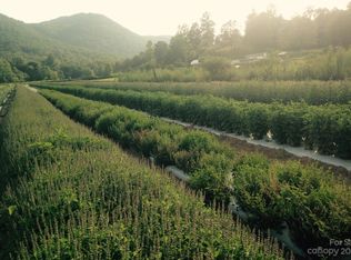 1235 Conner Rd, Lake Lure, NC 28746