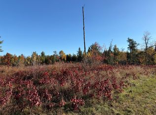 Riverview Rd #0, Mountain, WI 54149