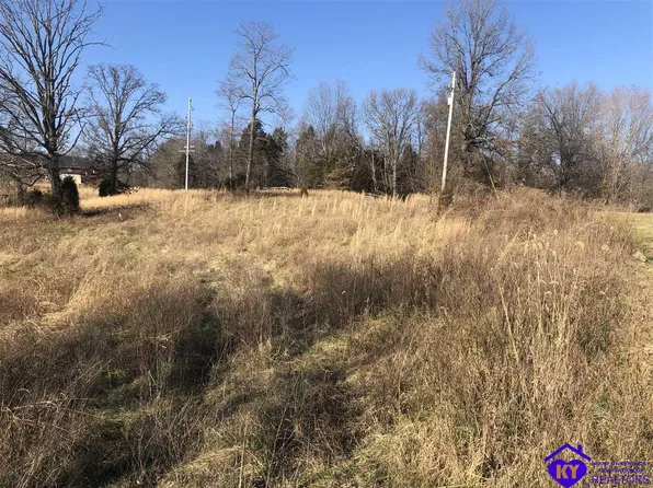 219 School Side Dr, Brandenburg, KY 40108