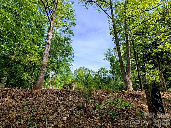 3rd image of 426 Mountain Ridge Ct