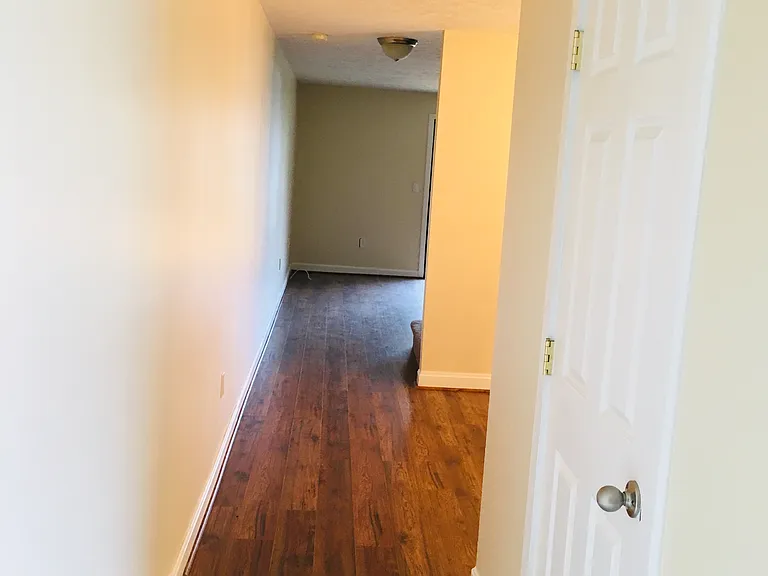 Hallway - First Floor all Hardwood and Second floor all Carpet (Newer flooring)