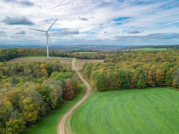 0 Downey Rd W, Rexville, NY 14877