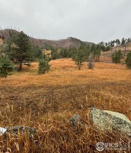 (Undisclosed Address), Bellvue, CO, 80512