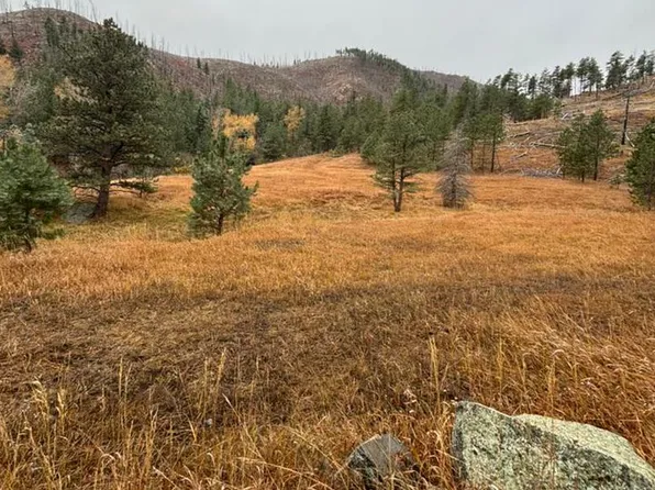 (undisclosed Address), Bellvue, CO 80512