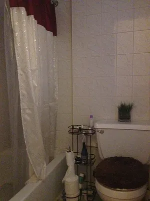 Rented by A D Shaye Realty Group  | media 4