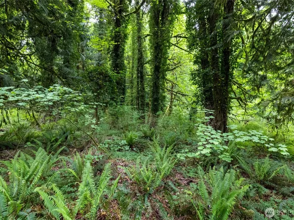 24118 177th Street E, Orting, WA 98360