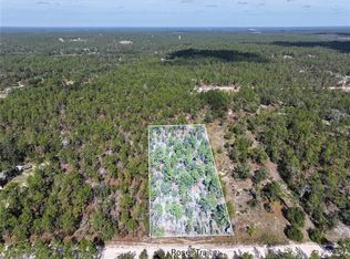 Rose Trl LOT 101, Interlachen, FL 32148