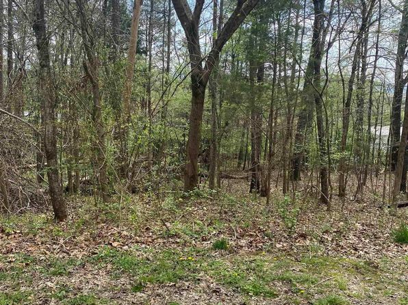 LOT 12 Hickory Ln, Valley Head, AL 35989