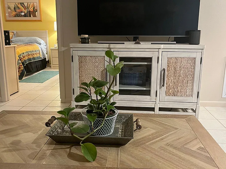 Smart T.V. in living room