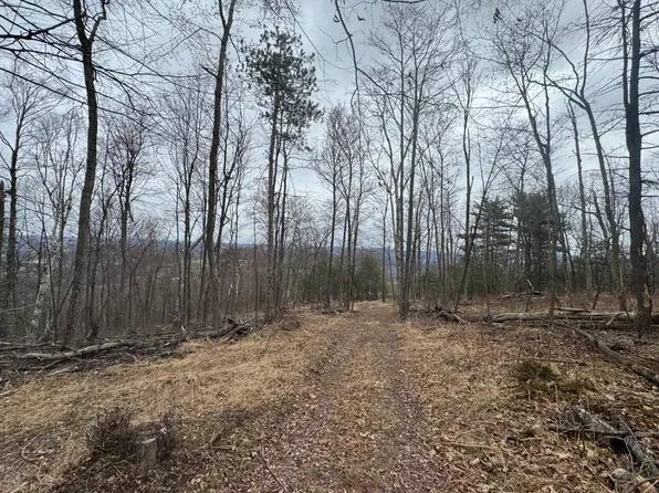 224 Fire Tower Rd, Mehoopany, PA 18629