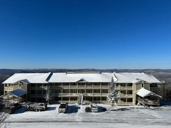 108 Summit Rd #A, Snowshoe, WV 26209