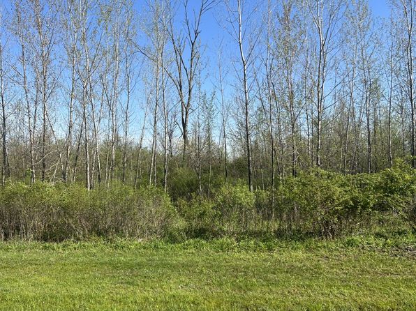 Turtle Lake Rd, North Branch, MI 48461