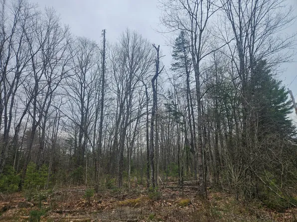 Lot 14-2,3 Perkins Road, Burnham, ME 04922