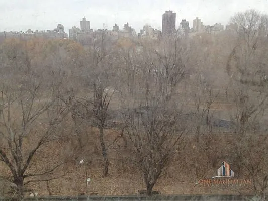 Rented by ONE Manhattan Real Estate | media 22