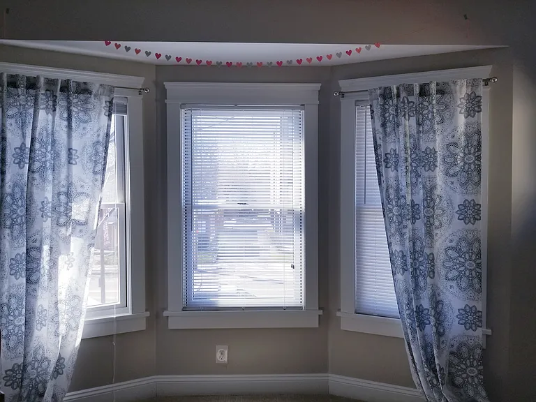 Some master bedroom windows