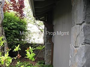 Salmon downspout