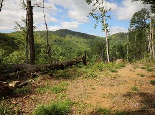 461 Reuben Wooten Road, Banner Elk, NC 28604