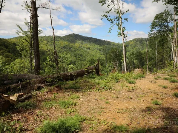 461 Reuben Wooten Road, Banner Elk, NC 28604