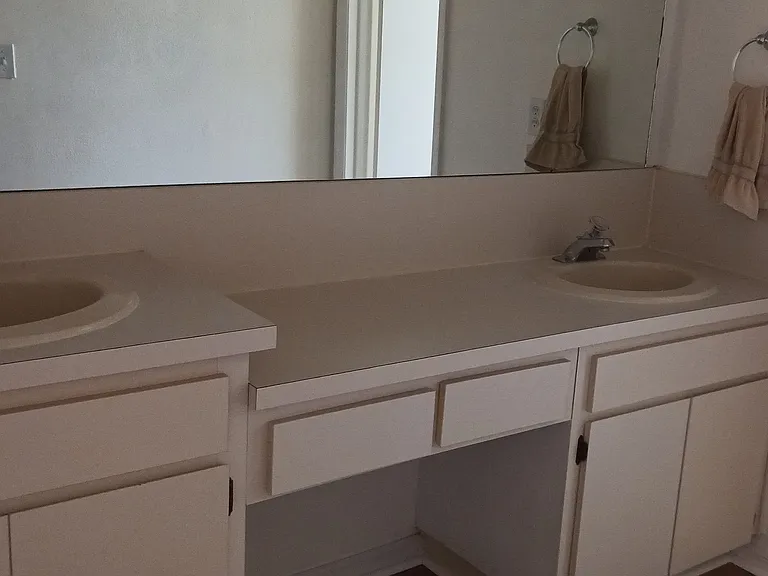 Dual Master Bath Lavatories