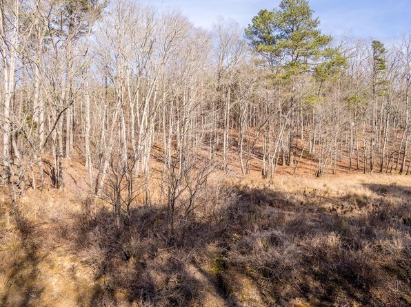 63 Shoreside At Sipsey, Double Springs, AL 35553