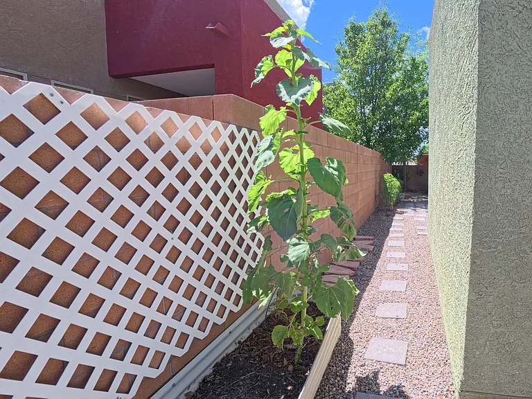 1651 Domino Dr SE — Photo 20