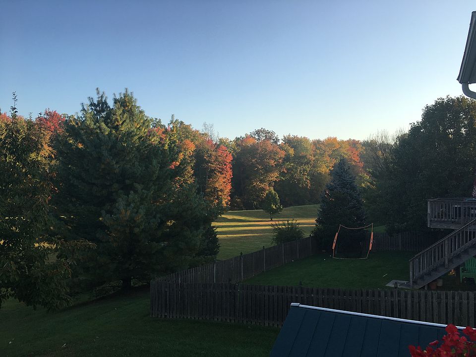 Back Yard Scenery