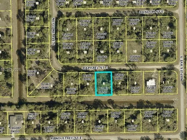 1238 Raphael St E, Lehigh Acres, FL 33974