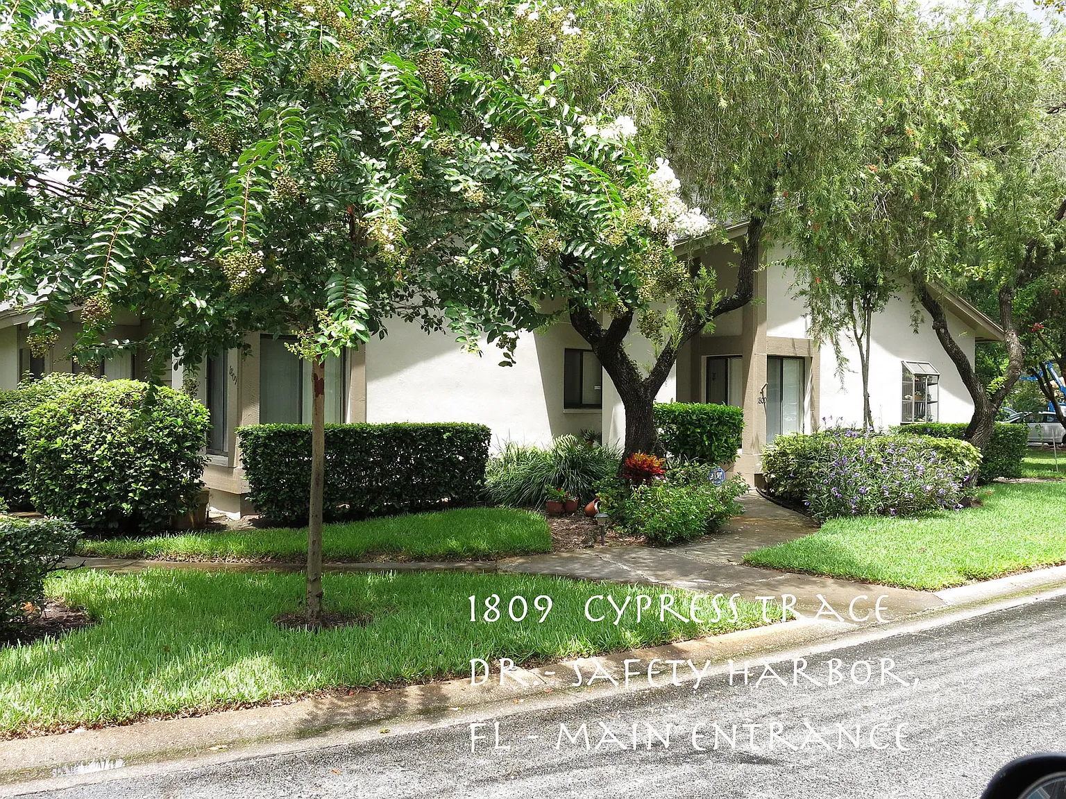 1809 Cypress Trace Dr — Photo 1