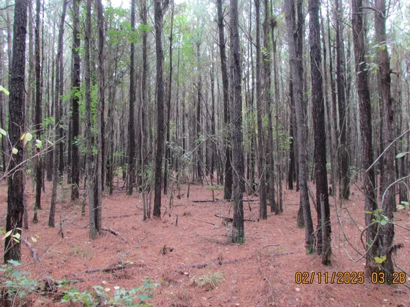S Williamsburg County Hwy, Kingstree, SC 29556