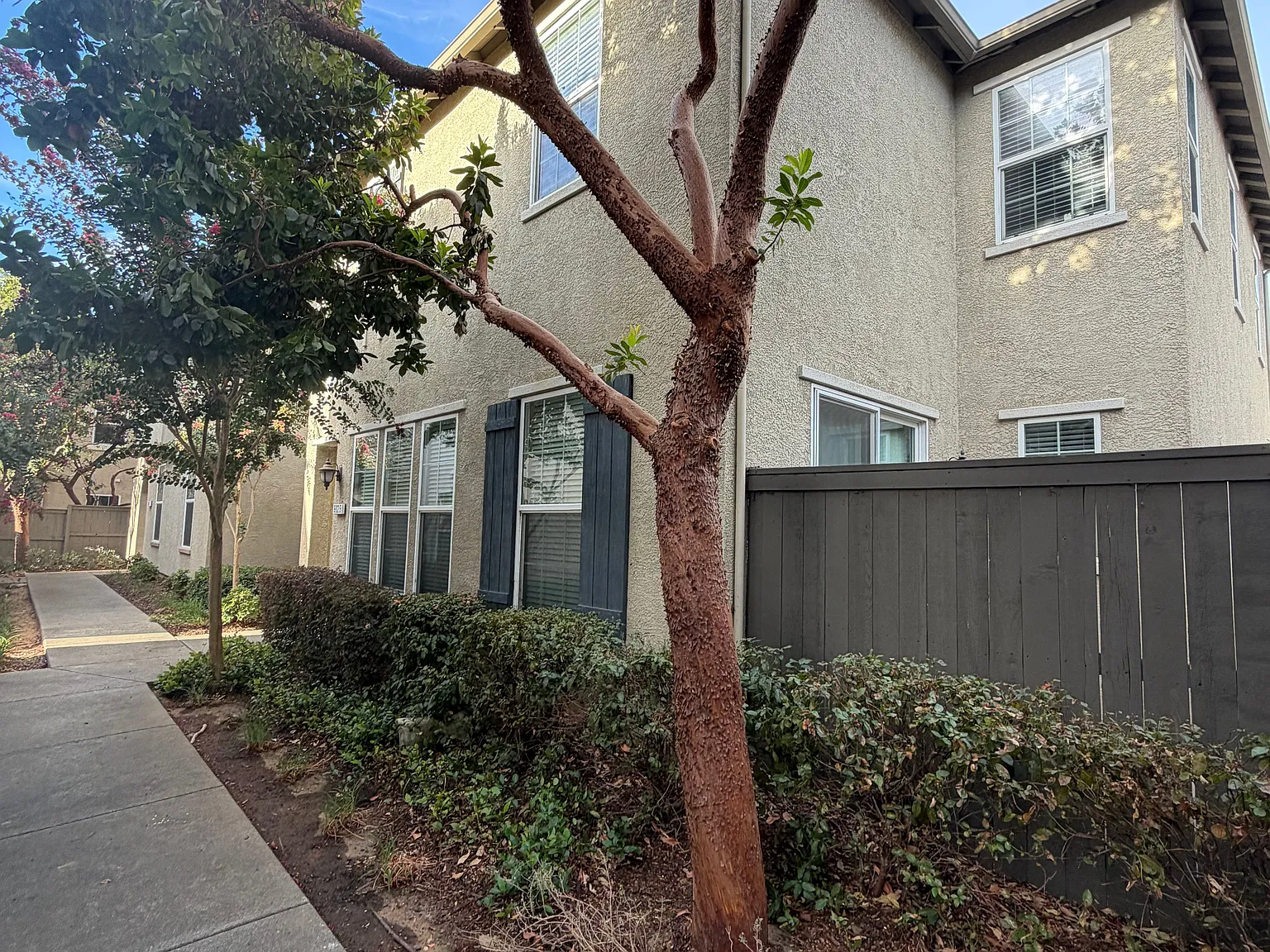 3 bed, 1719 sqft, $2,700 — Photo 4