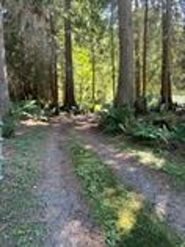 4 bed, 2.0 bath, 1840 sqft, $3,450 — Photo 4