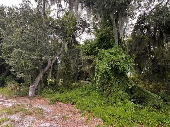 324 Cinema Dr Lot 13, Lake Placid, FL 33852