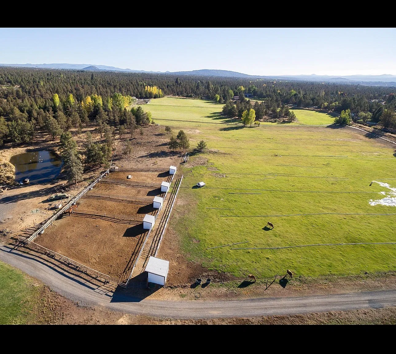 5 bed, 2500 sqft, $7,500 — Photo 2