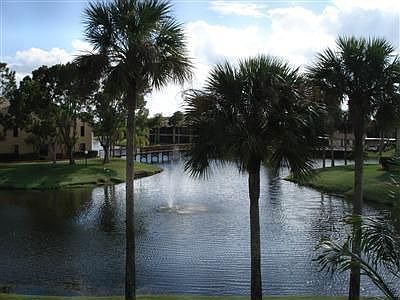 View from rear lanai