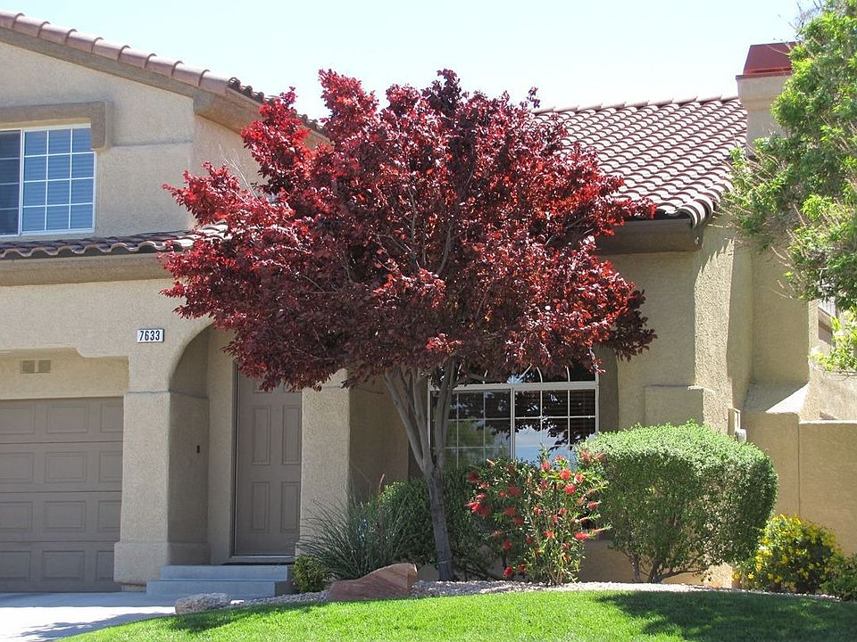 1st image of 7633 Allano Way