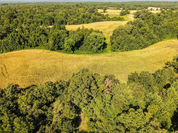 2 Highway 18 N, Toone, TN 38381