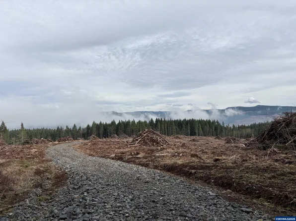 0 S Hardy Rd, Molalla, OR 97038