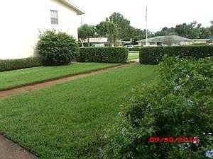 Community Yard/View