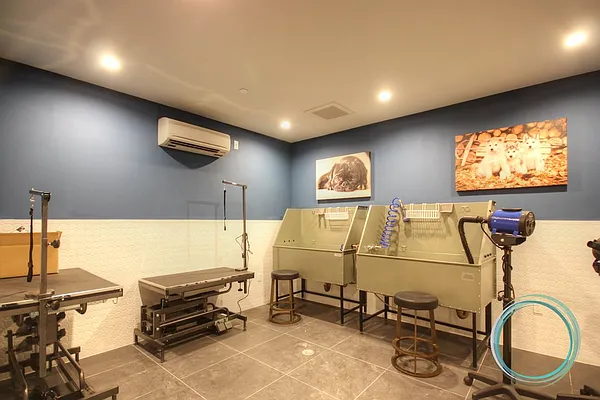 Rented by Rentopia | media 35