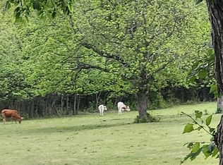 2601 Seldom Seen Rd, Forestburg, TX 76239