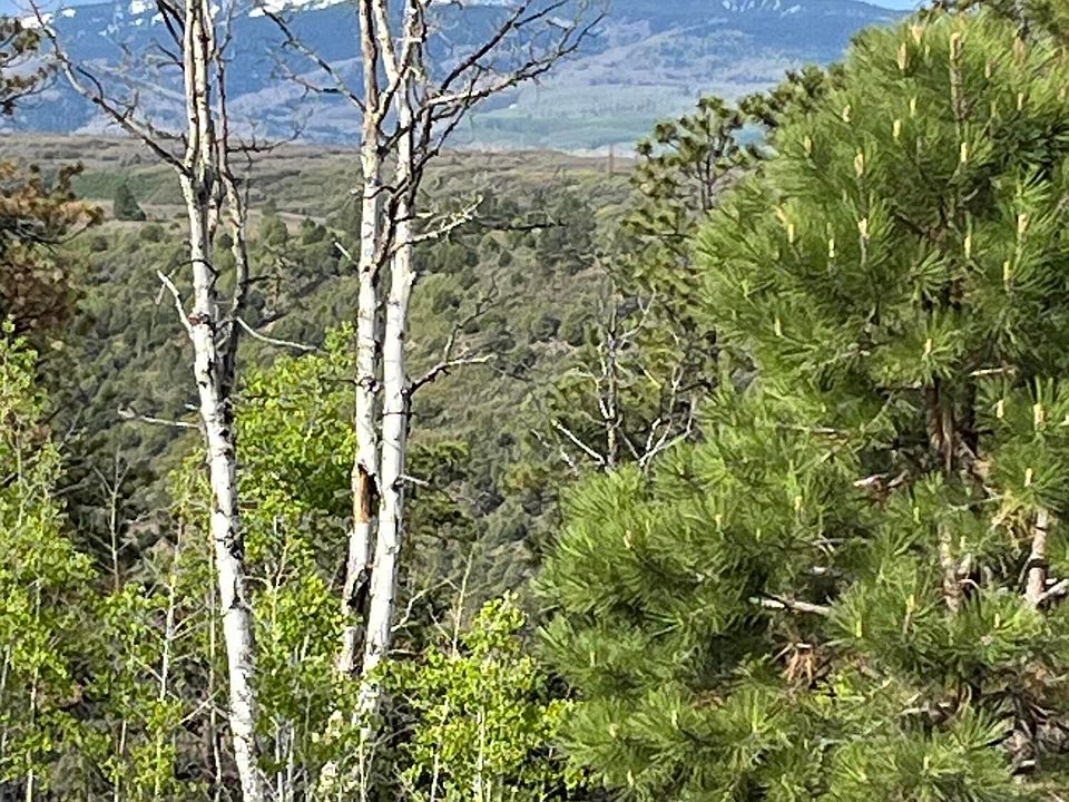 2nd image of LOT 21 Peninsula Dr