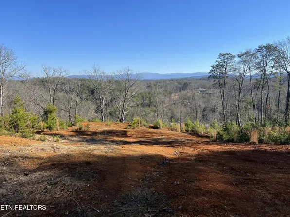 0 Griffith Branch Rd Lot 1, Madisonville, TN 37354