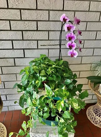 2 bed, 2.0 bath, $3,350 — Photo 2