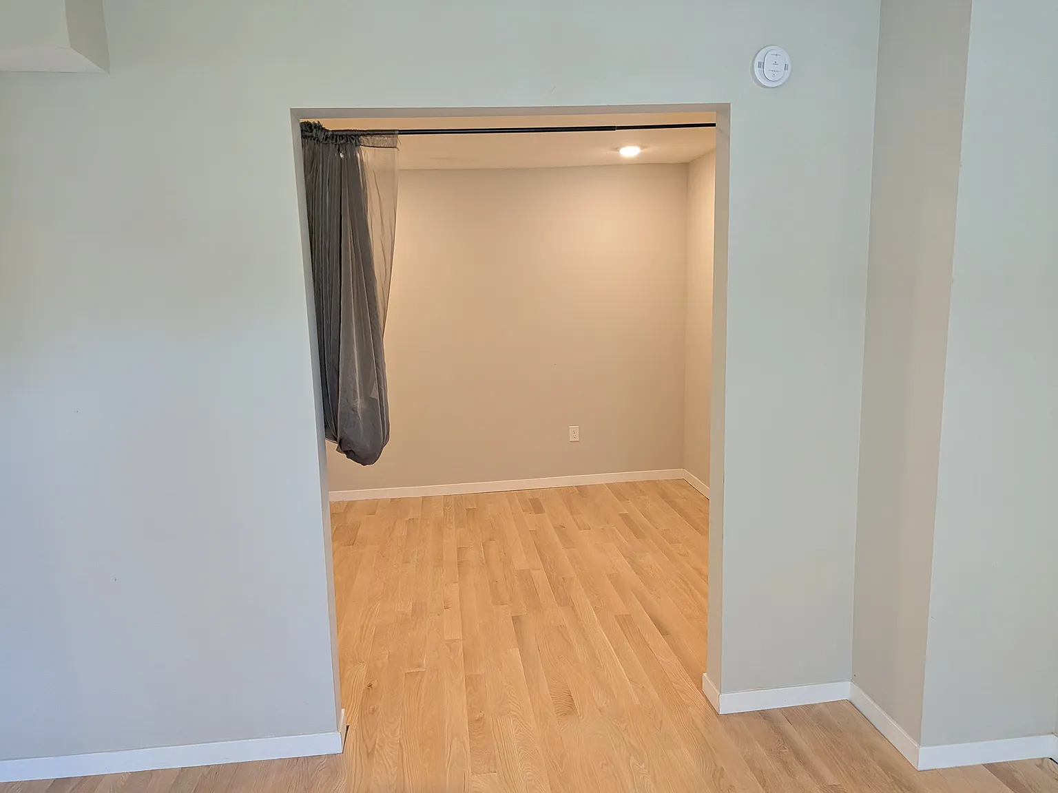 1 bed, 1300 sqft, $1,300 — Photo 3