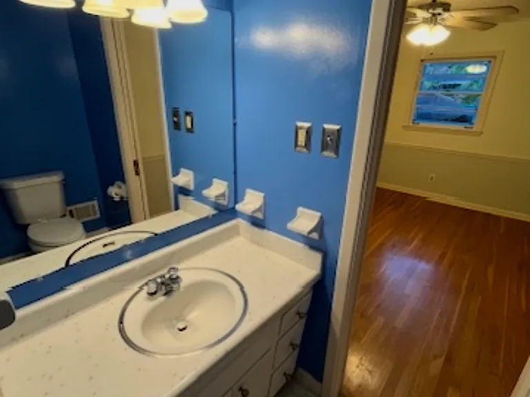 2906 Branchwood Dr — Photo 22