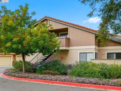2672 Great Arbor Way #46, Union City, CA, 94587