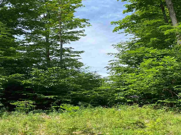 LOT 20 Aspen Ridge Ct, Boyne City, MI 49712
